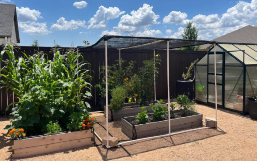 Petit jardin potager au soleil sous un voile d'ombrage